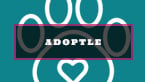 Featured Adoptle Image