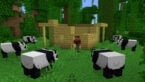 Minecraft Trails And Tails Update